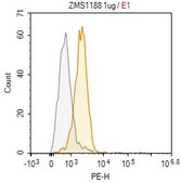 Anti-Perforin-1 Antibody, clone dG9 ZooMAb&#174; Mouse Monoclonal recombinant, expressed in HEK 293 cells