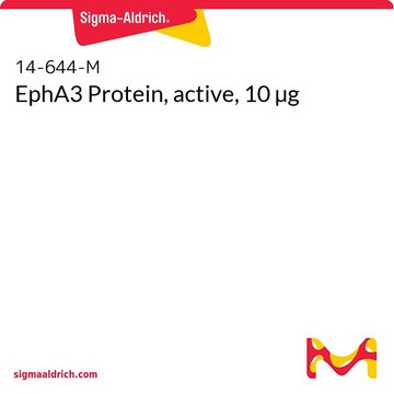 EphA3 Protein, active, 10 µg