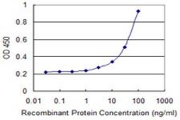 Monoclonal Anti-NTF5 antibody produced in mouse clone 1G12, purified immunoglobulin, buffered aqueous solution