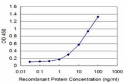 ANTI-FOSL2 antibody produced in mouse clone 4F5-1B10, purified immunoglobulin, buffered aqueous solution