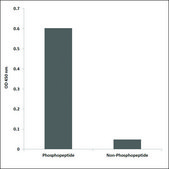 Anti-phospho-Retinoic Acid Receptor &#945; (pSer77) antibody produced in rabbit affinity isolated antibody