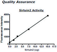 Sirtuin 2 human recombinant, expressed in E. coli, &#8805;80% (SDS-PAGE)