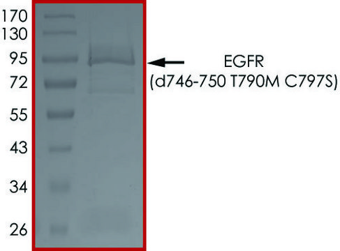 EGFR (D746-750 T790M C797S), Active PRECISIO&#174; Kinase, recombinant