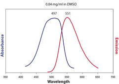 25-NBD Cholesterol Avanti Research&#8482; - A Croda Brand 810250C