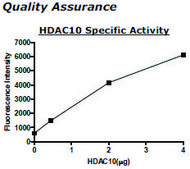 HDAC-10 human recombinant, expressed in baculovirus infected insect cells, ≥10% (SDS-PAGE)