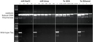 KAPA2G Robust HotStart ReadyMix 2&#160;×, with dye