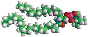 Milk SM Avanti Research&#8482; - A Croda Brand