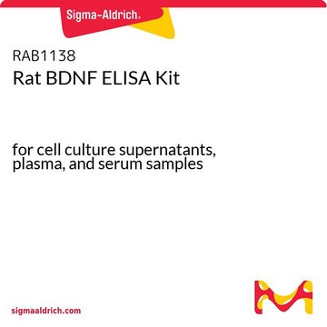 Rat BDNF ELISA Kit for cell culture supernatants, plasma, and serum samples