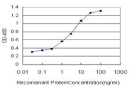 Monoclonal Anti-CAMKK2, (N-terminal) antibody produced in mouse clone 4C7, purified immunoglobulin, buffered aqueous solution