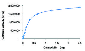 Calmodulin1, His tagged human recombinant, expressed in E. coli, &#8805;70% (SDS-PAGE), buffered aqueous glycerol solution