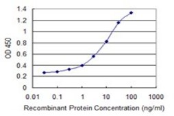 Monoclonal Anti-VPS26A, (C-terminal) antibody produced in mouse clone 1C4, purified immunoglobulin, buffered aqueous solution