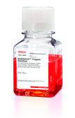 StableCell&#8482; Trypsin Solution 5X, sterile-filtered, BioReagent, suitable for cell culture, 2.5 g porcine trypsin and 0.2 g EDTA, 4Na per liter of Hanks&#8242; Balanced Salt Solution with phenol red