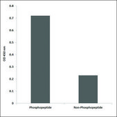 Anti-phospho-GluR2 (pSer880) antibody produced in rabbit affinity isolated antibody