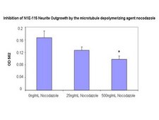 Neurite Outgrowth Assay Kit (3 &#181;m) The NS220 Neurite Outgrowth Assay Kit (3 &#181;m) is based on the use of Millicell cell culture inserts (chambers) containing a permeable membrane with 3-&#956;m pores at the base.