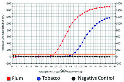Plant/Fungi DNA Isolation Kit sufficient for 50&#160;purifications