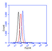 Rabbit anti-Phospho 53BP1 (S25) Antibody, Affinity Purified Powered by Bethyl Laboratories, Inc.