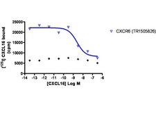 ChemiScreen CXCR6 Membrane Preparation Human CXCR6 GPCR membrane preparation for Radioligand binding Assays &amp; GTP&#947;S binding.