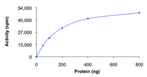 PDHK3, active, GST tagged human PRECISIO&#174; Kinase, recombinant, expressed in baculovirus infected Sf9 cells, &#8805;70% (SDS-PAGE), buffered aqueous glycerol solution