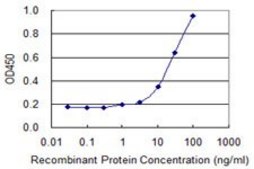 Monoclonal Anti-HSD3B2 antibody produced in mouse clone 1E8, purified immunoglobulin, buffered aqueous solution