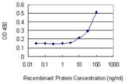 Monoclonal Anti-POU4F1 antibody produced in mouse clone 7B4, purified immunoglobulin, buffered aqueous solution