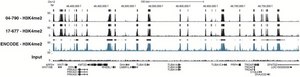 ChIPAb+ Dimethyl-Histone H3 (Lys4) - ChIP Validated Antibody and Primer Set clone CMA303, from mouse
