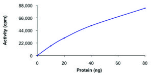 PAK6, active, GST tagged human PRECISIO&#174; Kinase, recombinant, expressed in baculovirus infected Sf9 cells, &#8805;70% (SDS-PAGE), buffered aqueous glycerol solution