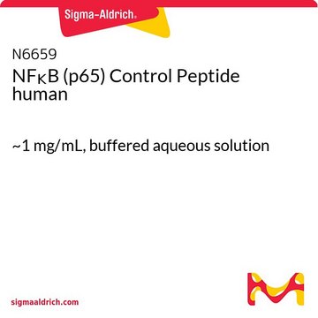 NF&#954;B (p65) Control Peptide human ~1&#160;mg/mL, buffered aqueous solution