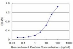 Monoclonal Anti-TARBP2 antibody produced in mouse clone 2H1, purified immunoglobulin, buffered aqueous solution