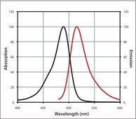 Anti-Goat IgG (H+L), CF&#8482; 488A antibody produced in chicken ~2&#160;mg/mL, affinity isolated antibody