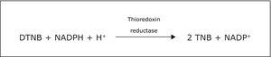 Thioredoxin Reductase Assay Kit 1&#160;kit sufficient for 100&#160;assays (1 mL)