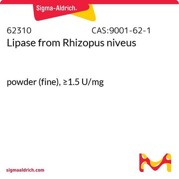 Lipase from Rhizopus niveus powder (fine), &#8805;1.5&#160;U/mg