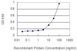 Monoclonal Anti-CTGF antibody produced in mouse clone 2C11, purified immunoglobulin, buffered aqueous solution