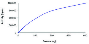 STK39 (STLK3), active, His tagged human PRECISIO&#174;, recombinant, expressed in baculovirus infected Sf9 cells, &#8805;70% (SDS-PAGE), buffered aqueous glycerol solution