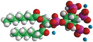 08:0 PI(3,4,5)P3 1,2-dioctanoyl-sn-glycero-3-phospho-(1&#8242;-myo-inositol-3&#8242;,4&#8242;,5&#8242;-trisphosphate) (ammonium salt), powder
