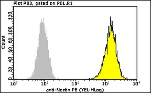 Milli-Mark&#174; Anti-Nestin-PE Antibody, clone 10C2 clone 10C2, Milli-Mark&#174;, from mouse
