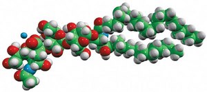 Ganglioside GM3 (Bovine Milk) Avanti Research&#8482; - A Croda Brand