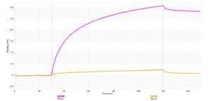 Anti-Citrate synthase Antibody, clone 1J23 ZooMAb® Rabbit Monoclonal recombinant, expressed in HEK 293 cells
