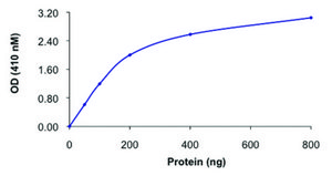 PTPN2, active, GST tagged human recombinant, expressed in E. coli, &#8805;70% (SDS-PAGE), buffered aqueous glycerol solution