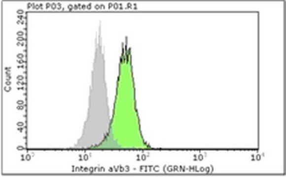 Milli-Mark® Anti-Integrin αVβ3 Antibody, clone LM609-FITC clone LM609, Milli-Mark®, from mouse