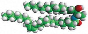 N-C24:1-deoxysphingosine N-nervonoyl-1-deoxysphingosine (m18:1/24:1), powder
