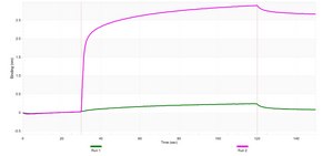 Anti-PDX1 Antibody, clone 1I16 ZooMAb&#174; Rabbit Monoclonal recombinant, expressed in HEK 293 cells