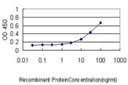 Monoclonal Anti-ZAK antibody produced in mouse clone 3D11, purified immunoglobulin, buffered aqueous solution