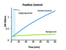 AST Activity Assay Kit sufficient for 100&#160;colorimetric&nbsp;tests