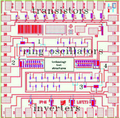 Back-gated LOFET Circuit Substrate transistors, inverters and ring oscillators, Ti/TiN source/drain, Au contact, 200 nm gate-insulator, chips (diced)