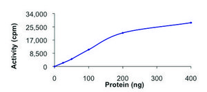 PLK4, active, GST tagged human PRECISIO&#174;, recombinant, expressed in baculovirus infected Sf9 cells, &#8805;70% (SDS-PAGE), buffered aqueous glycerol solution