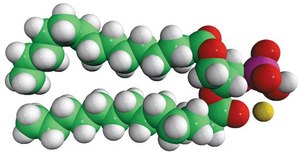 14:0 PA Avanti Research&#8482; - A Croda Brand