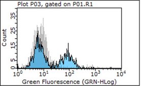 Anti-Integrin &#946;1 Antibody, clone P5D2 clone P5D2, Chemicon&#174;, from mouse