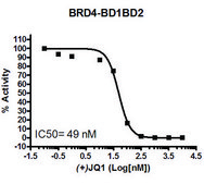 BRD4, BD1, BD2 (49-460) GST tag human recombinant, expressed in E. coli, &#8805;80% (SDS-PAGE)