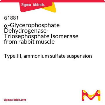 &#945;-Glycerophosphate Dehydrogenase-Triosephosphate Isomerase from rabbit muscle Type III, ammonium sulfate suspension
