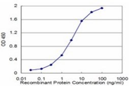 Monoclonal Anti-PON1, (C-terminal) antibody produced in mouse clone 2H7, purified immunoglobulin, buffered aqueous solution